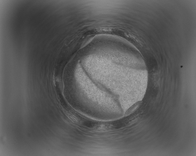 X0000076070323200610061609