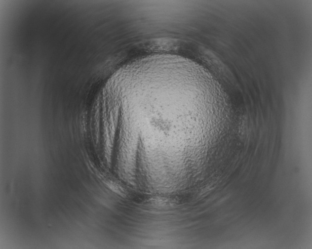 X0000076070326200610061609