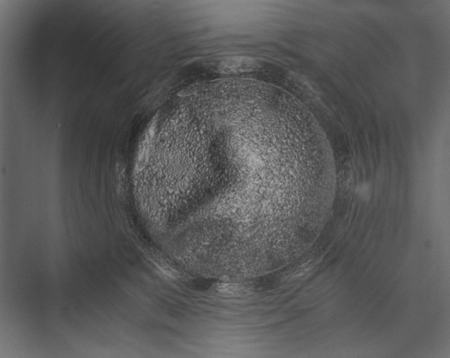 X0000076070327200610061609