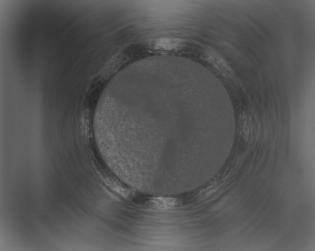 X0000076070328200610061609