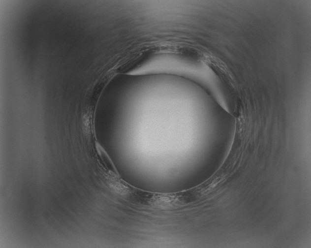 X0000076070329200610061609