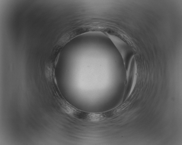 X0000076070333200610061608