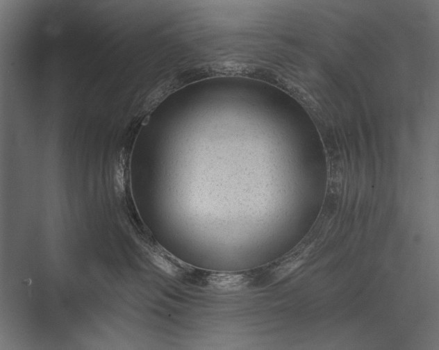 X0000076070334200610061608