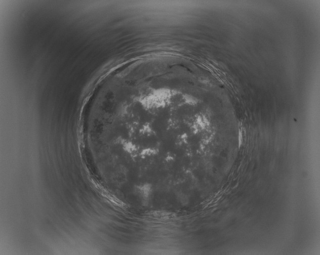 X0000076070339200610061608