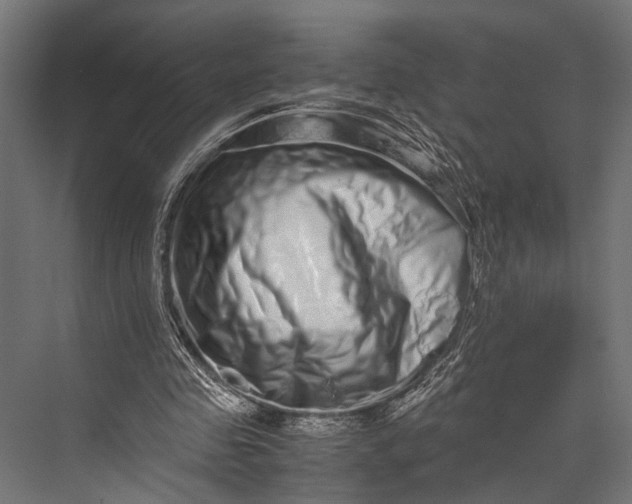 X0000076070341200610061608