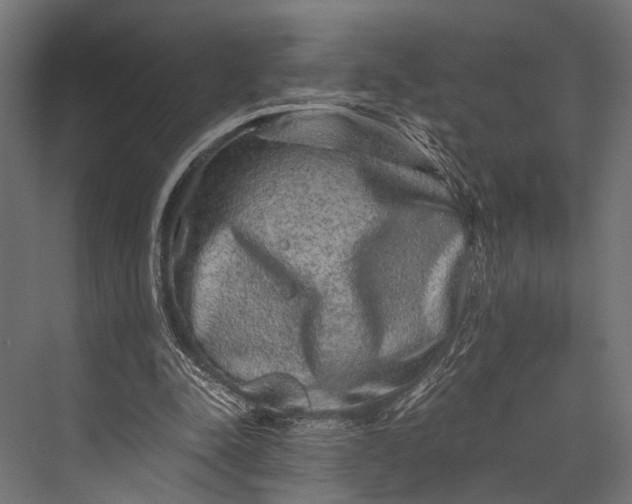 X0000076070342200610061608