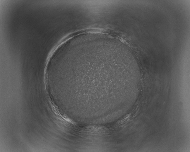 X0000076070343200610061608