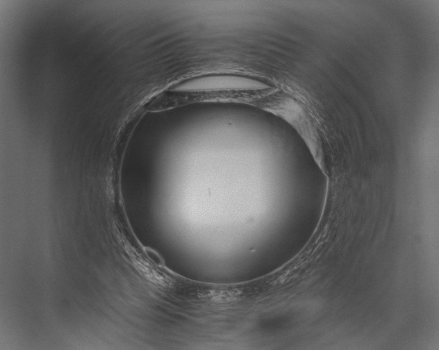 X0000076070345200610061608