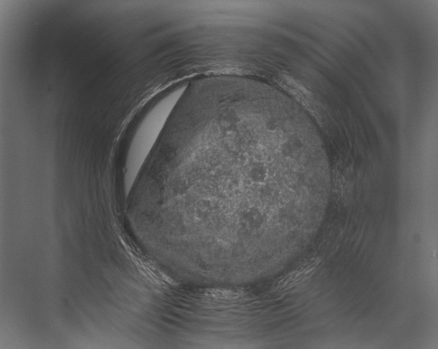 X0000076070347200610061608