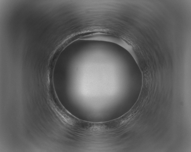 X0000076070350200610061608