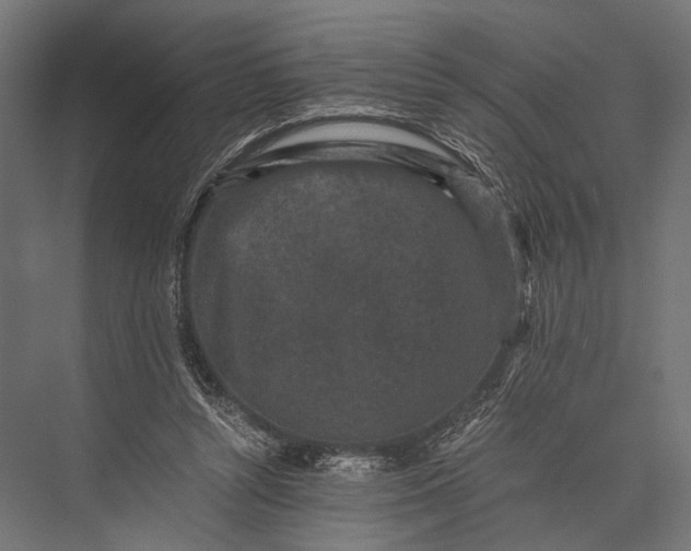 X0000076070352200610061608