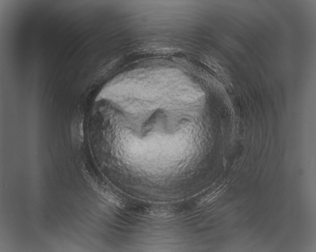 X0000076070358200610061608