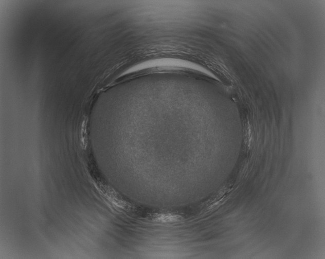 X0000076070360200610061608