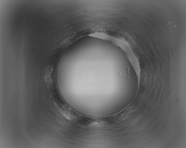 X0000076070364200610061608