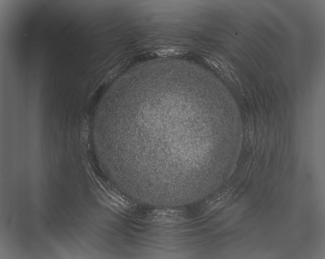 X0000076070367200610061608