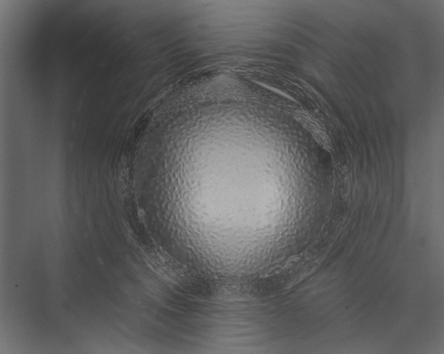 X0000076070372200610061608