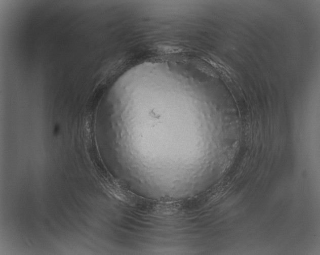 X0000076070373200610061608