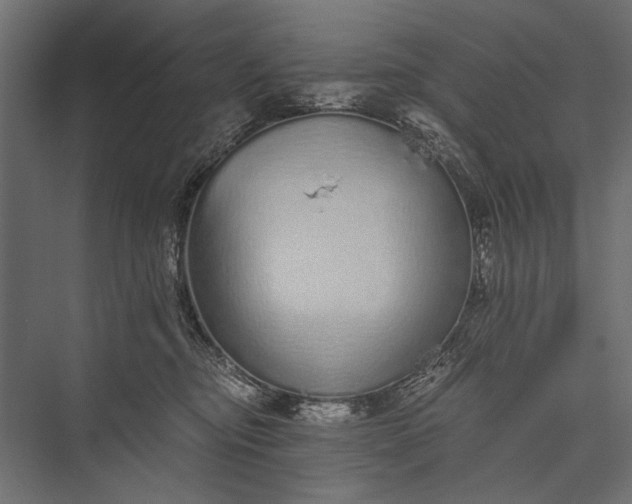 X0000076070374200610061608