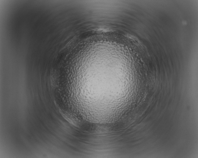 X0000076070376200610061608