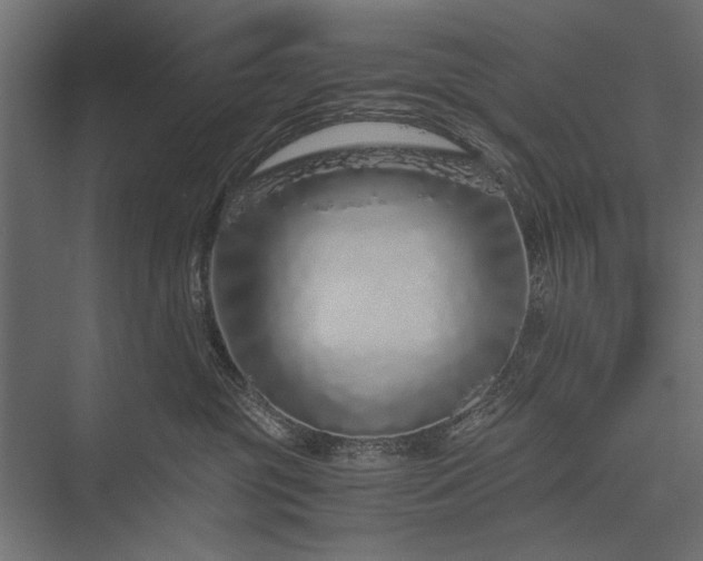 X0000076070381200610061608