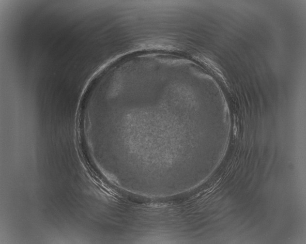 X0000076070388200610061608