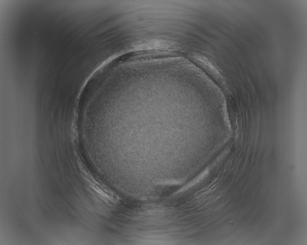X0000076070392200610061607