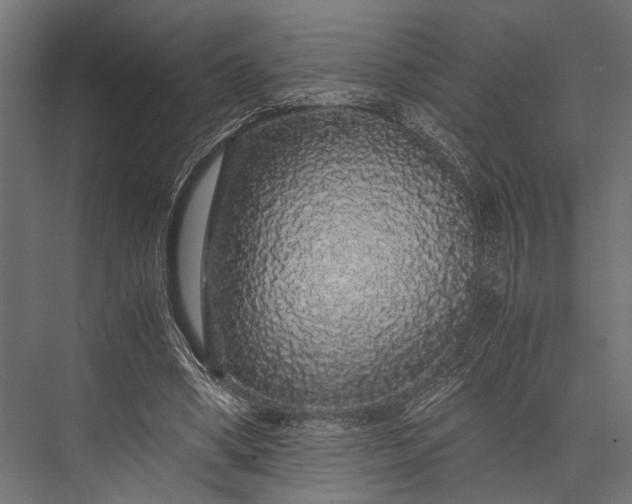 X0000076070394200610061607