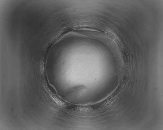 X0000076070401200610061607