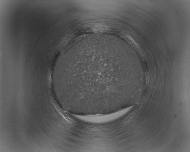 X0000076070405200610061607