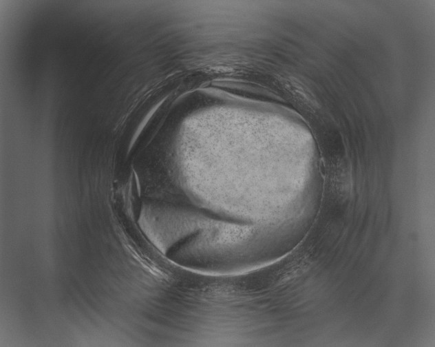X0000076070408200610061607