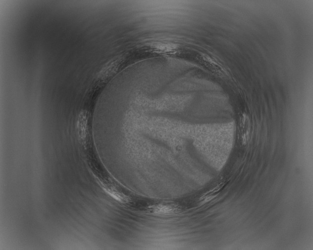 X0000076070412200610061607