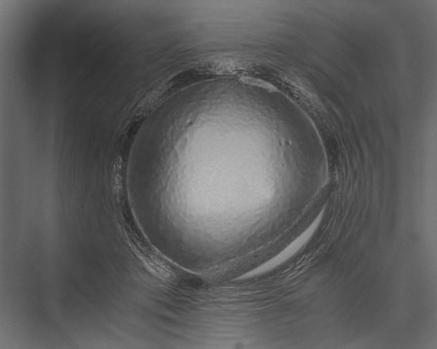 X0000076070413200610061607