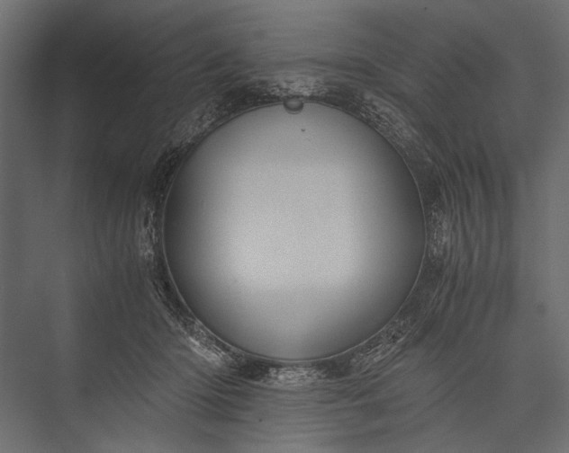 X0000076070414200610061607