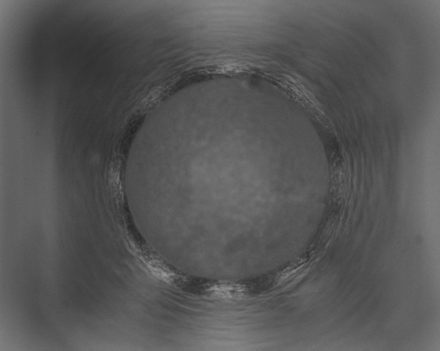X0000076070415200610061607