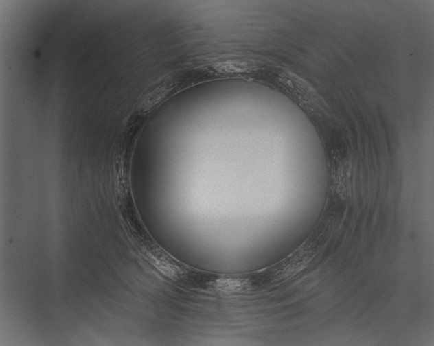 X0000076070418200610061607