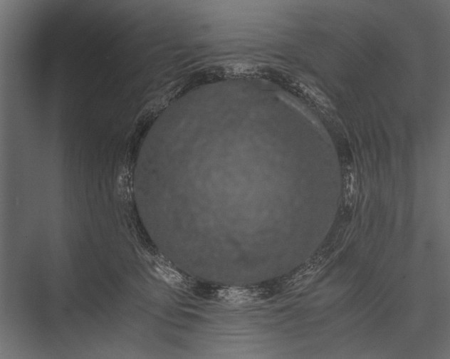 X0000076070419200610061607