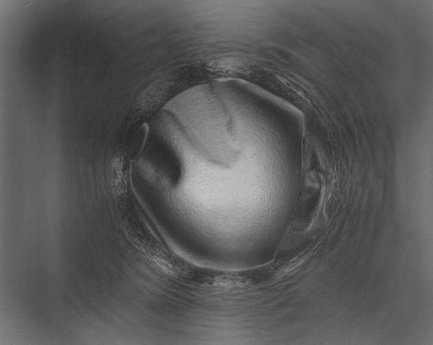 X0000076070420200610061607