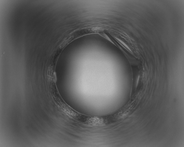 X0000076070421200610061607