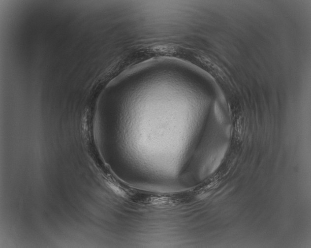 X0000076070424200610061607
