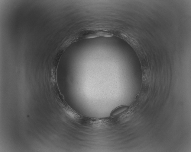 X0000076070430200610061607