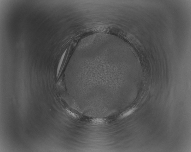 X0000076070432200610061607