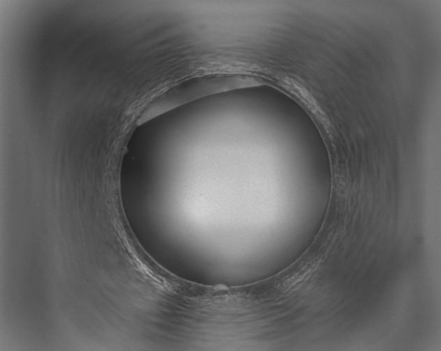 X0000076070433200610061606