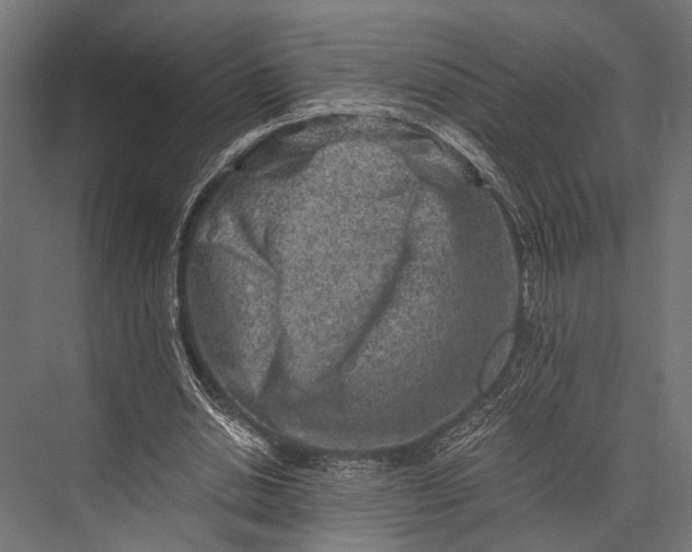 X0000076070438200610061606