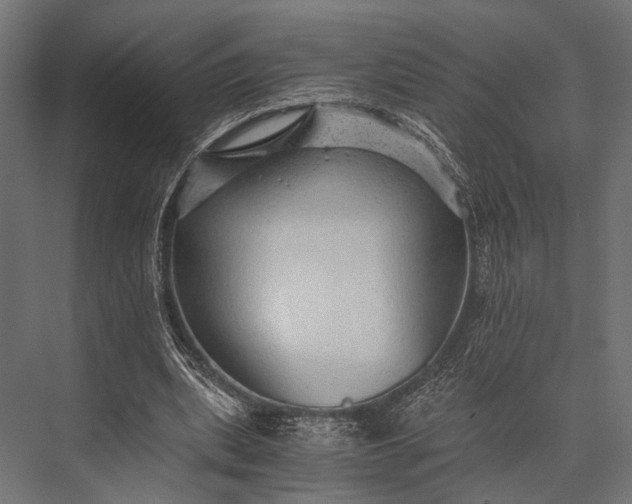 X0000076070439200610061606