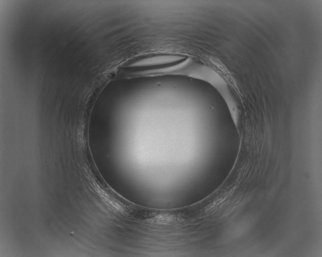 X0000076070441200610061606