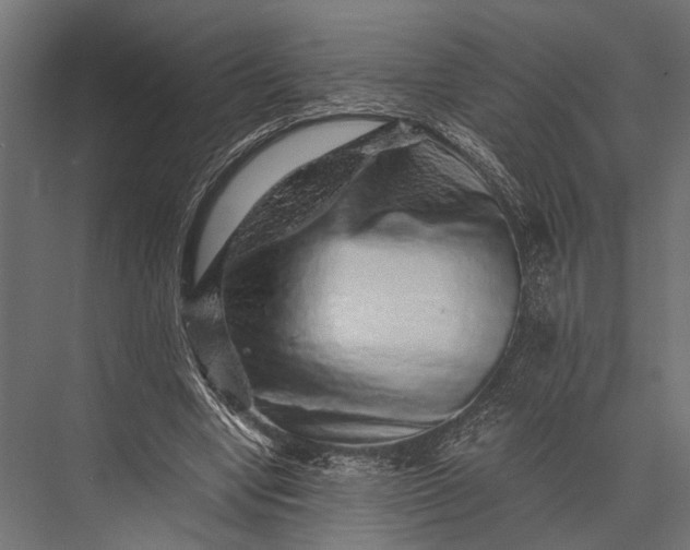 X0000076070442200610061606