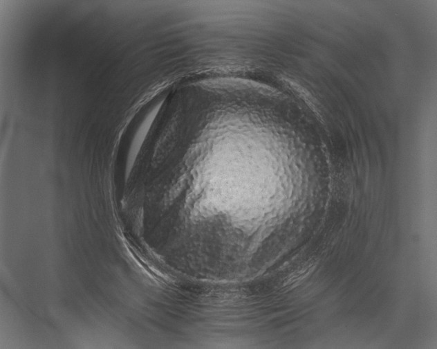 X0000076070443200610061606