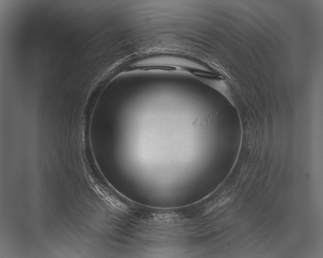 X0000076070446200610061606