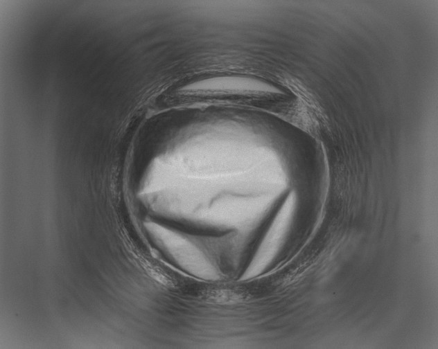 X0000076070449200610061606