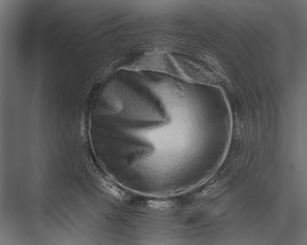 X0000076070457200610061606